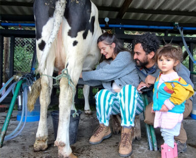 Milking parlor